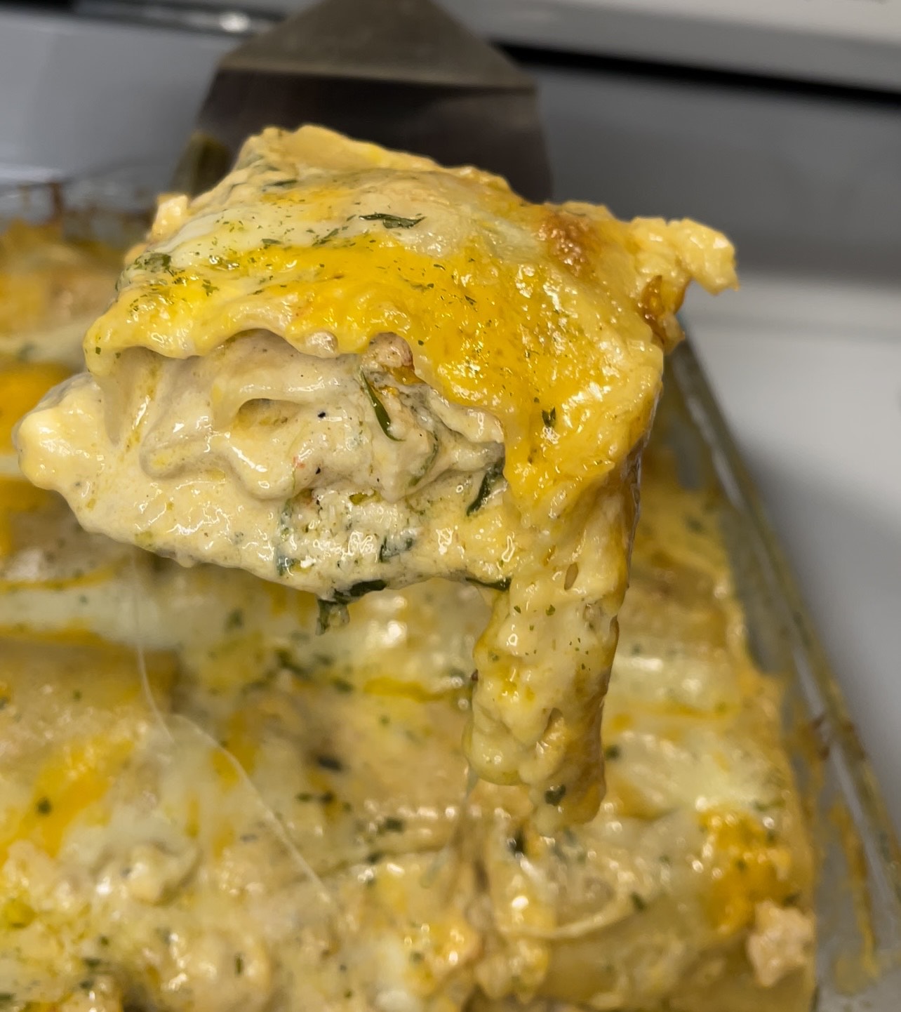 Creamy Cheesy Chicken Lasagna Rolls